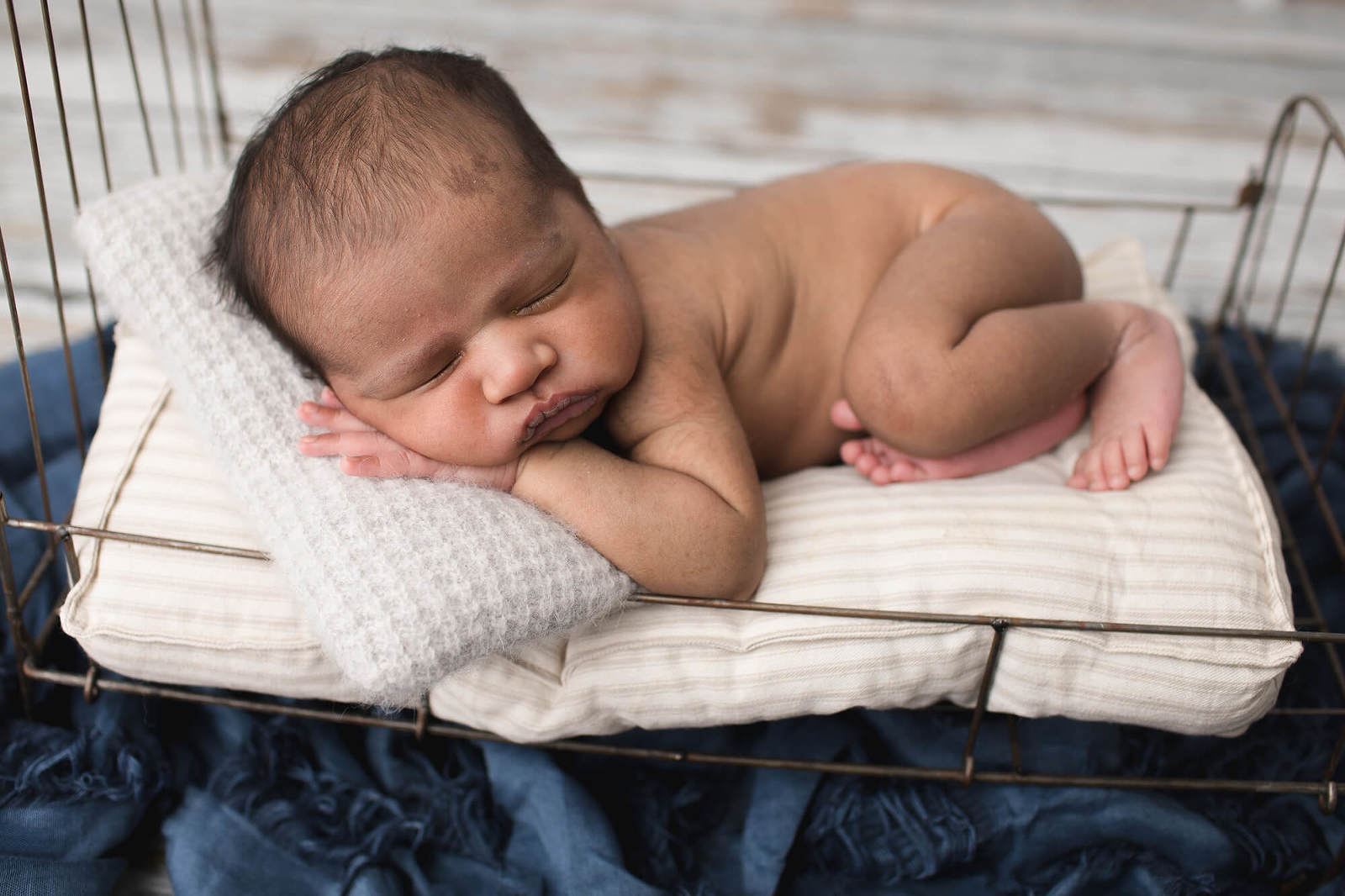 chicago newborn photographer 159